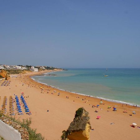 אלבופיירה Vila Branca מראה חיצוני תמונה