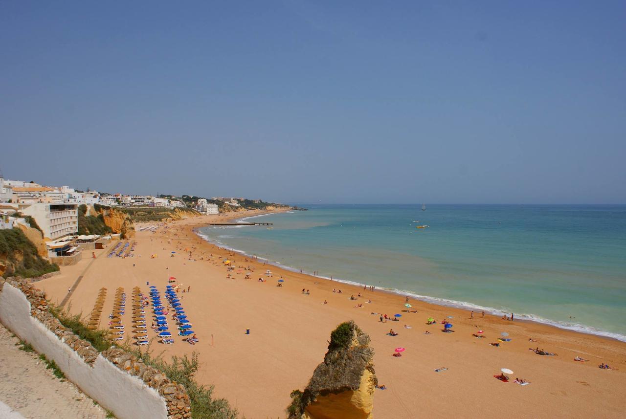 אלבופיירה Vila Branca מראה חיצוני תמונה